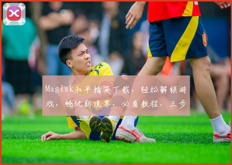 Magisk和平精英下载，轻松解锁游戏，畅玩新境界，必看教程，三步搞定