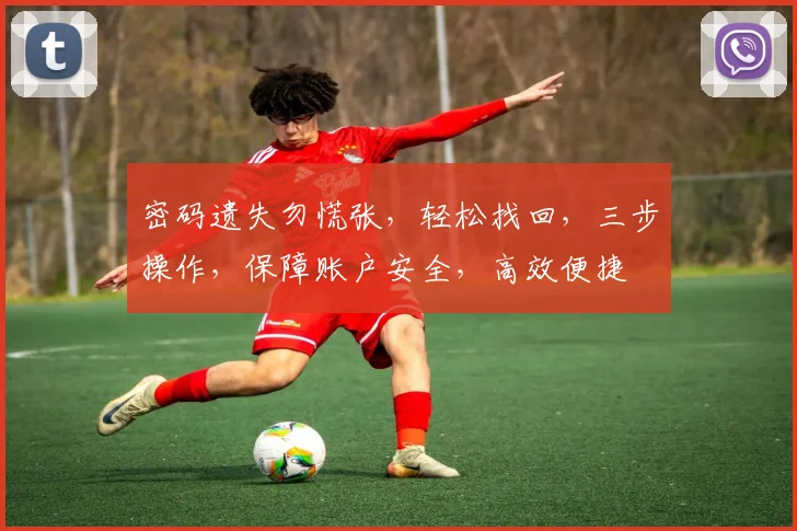 密码遗失勿慌张，轻松找回，三步操作，保障账户安全，高效便捷